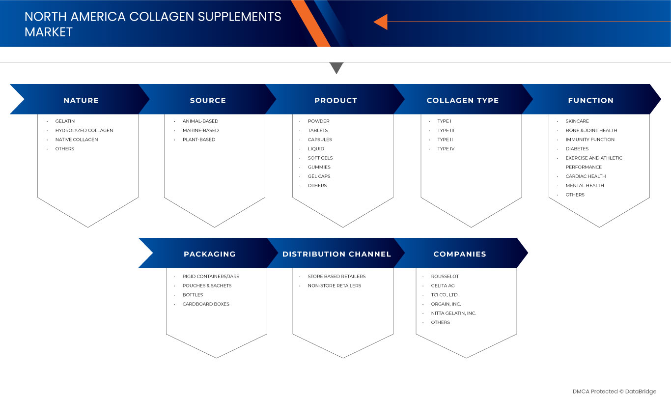 North America Collagen Supplements Market