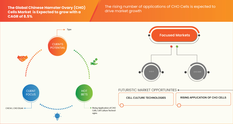 Chinese Hamster Ovary (CHO) Cells Market