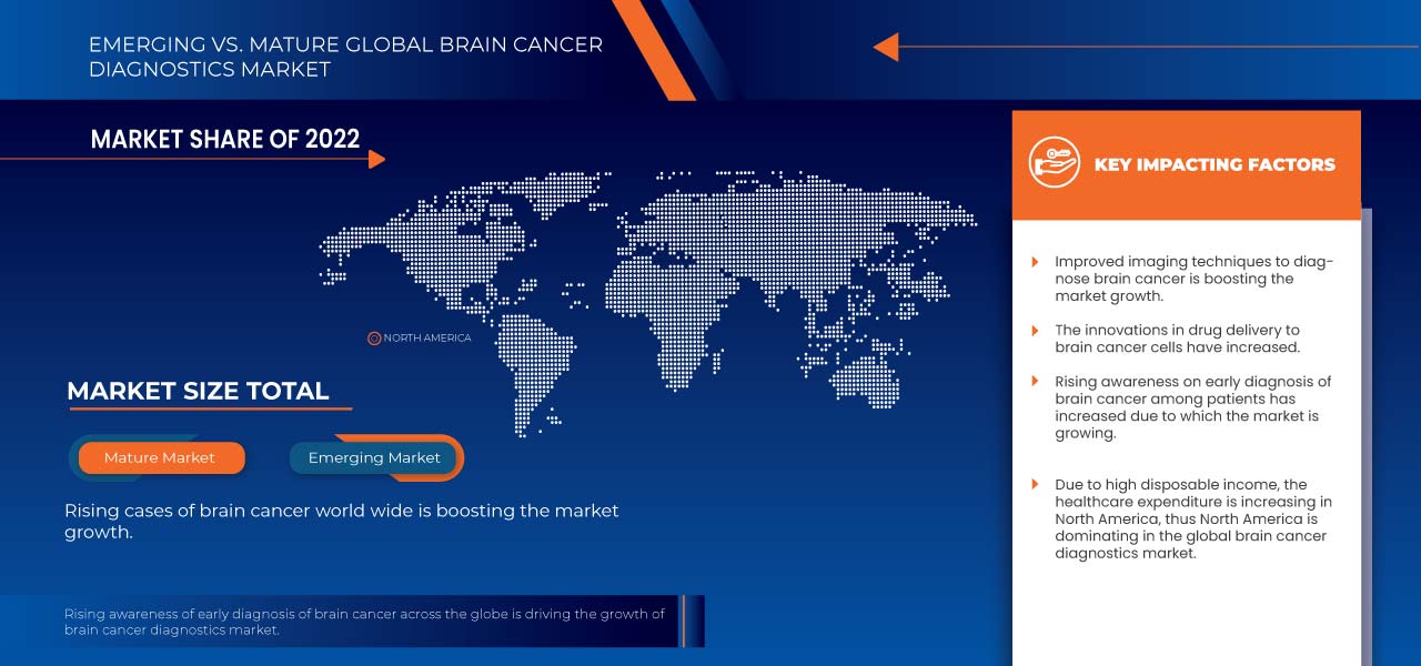 Brain Cancer Diagnostic Market
