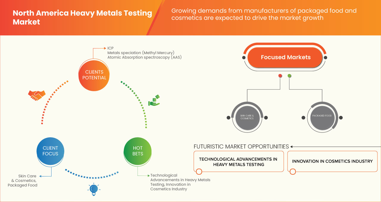 North Americal Heavy Metals Testing Market