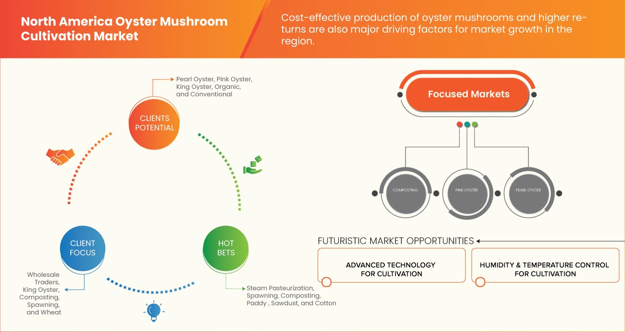 North America Oyster Mushroom Cultivation Market