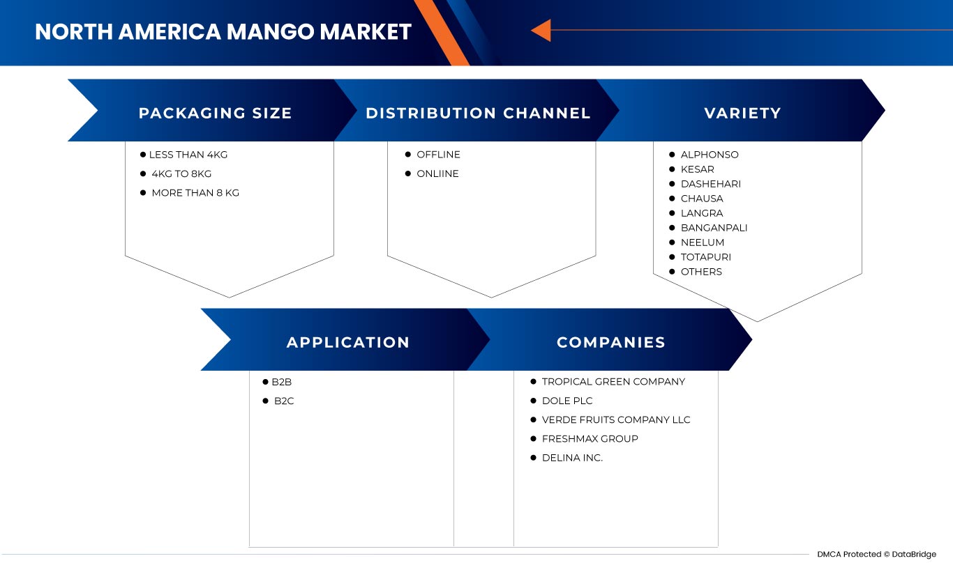 North America Mango Market
