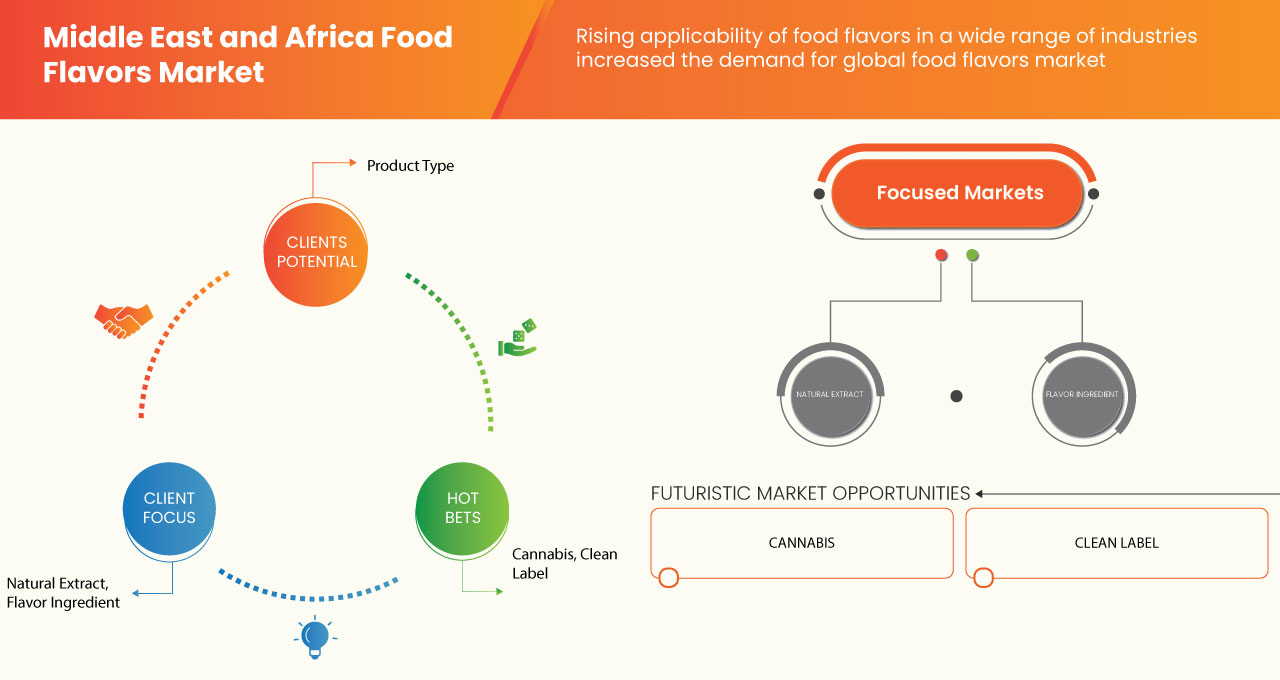 Middle East and Africa Food Flavors Market