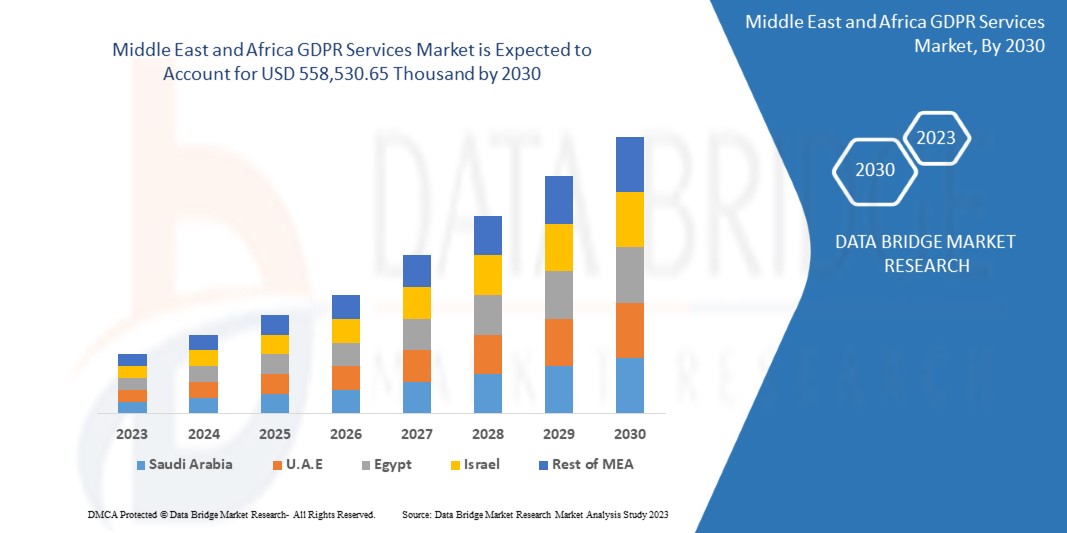 Middle East and Africa GDPR Services Market