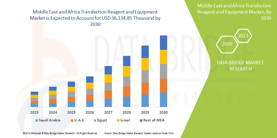Middle East and Africa Transfection Reagent and Equipment Market