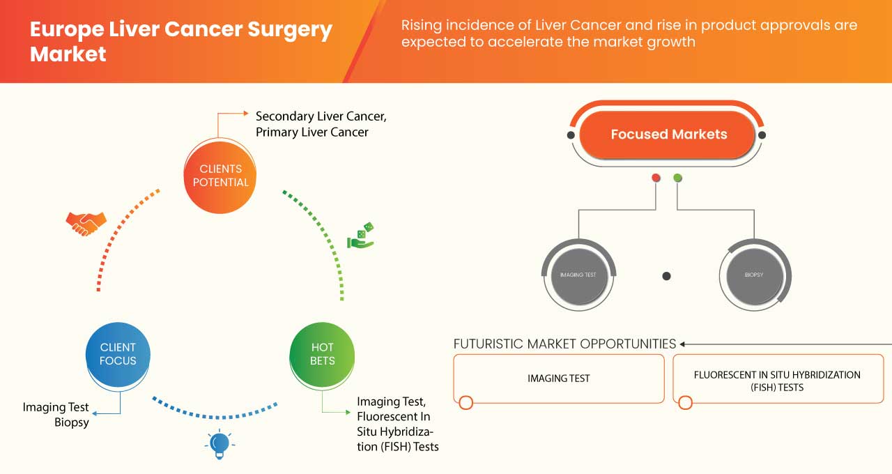 Europe Liver Cancer Diagnostics Market