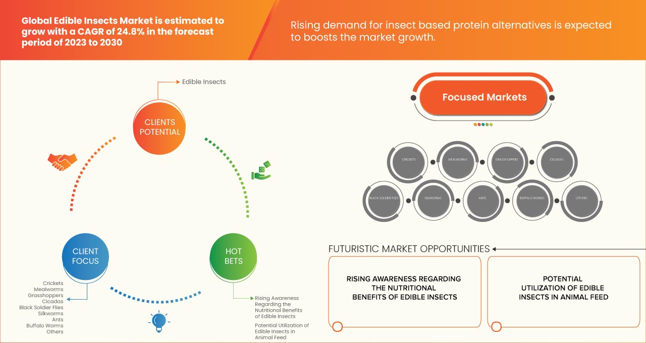 Edible Insects Market Growth, Size & Global Trends To 2030
