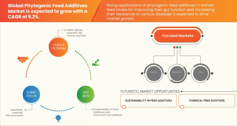 Phytogenic Feed Additives Market