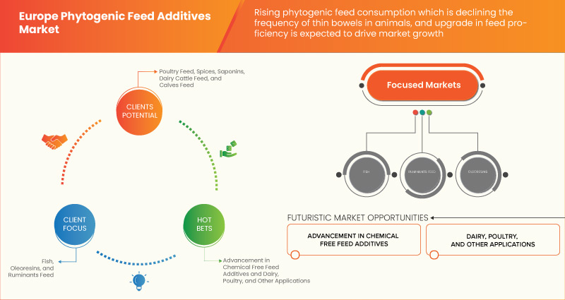 Europe Phytogenic Feed Additives Market