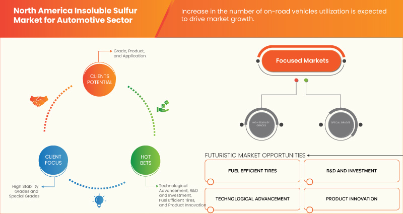 North America Insoluble Sulfur Market for Automotive Sector Market