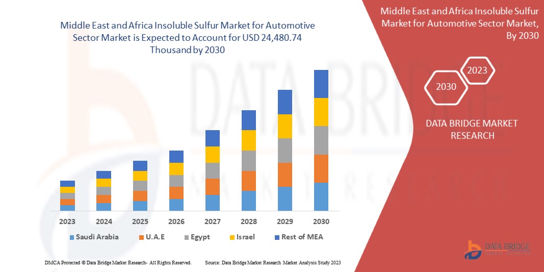 Middle East and Africa Insoluble Sulfur Market for Automotive Sector Market