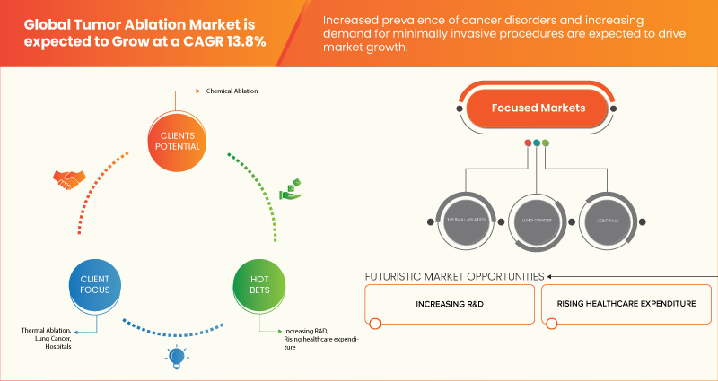 Tumor Ablation Market