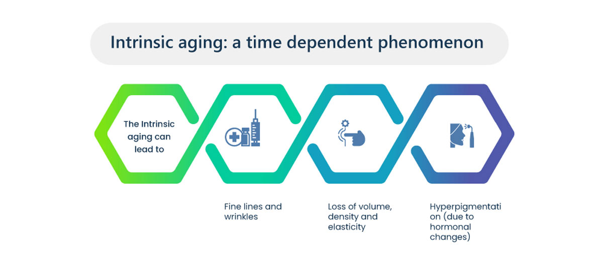 Increasing Importance of Cannabinoids for the Prevention of Aging