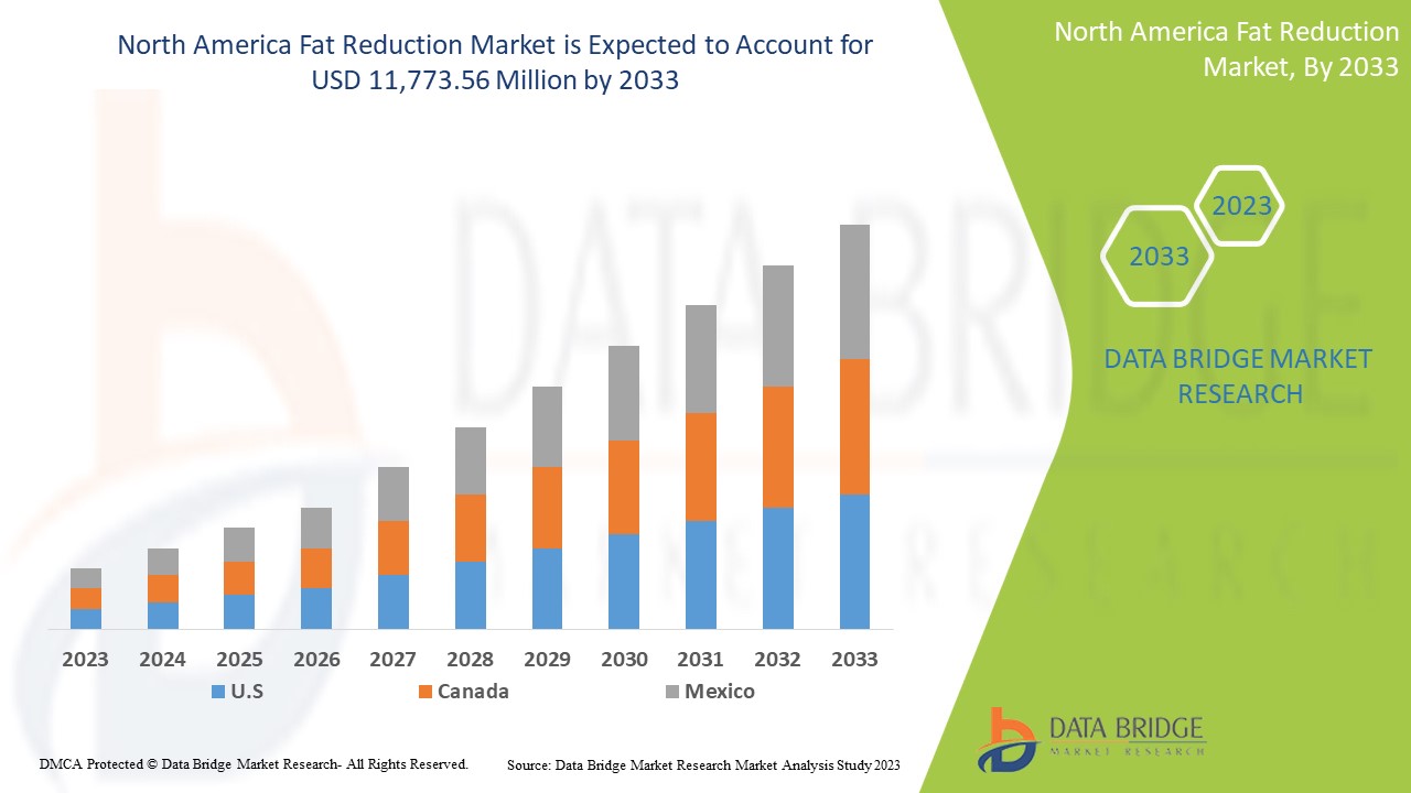 North America Fat Reduction Market