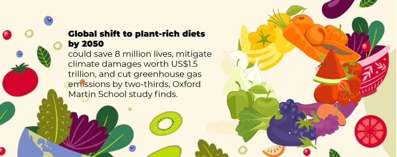 Nourishing the Planet and Body: Exploring the Benefits and Diversity of Plant-Based Foods for Health
