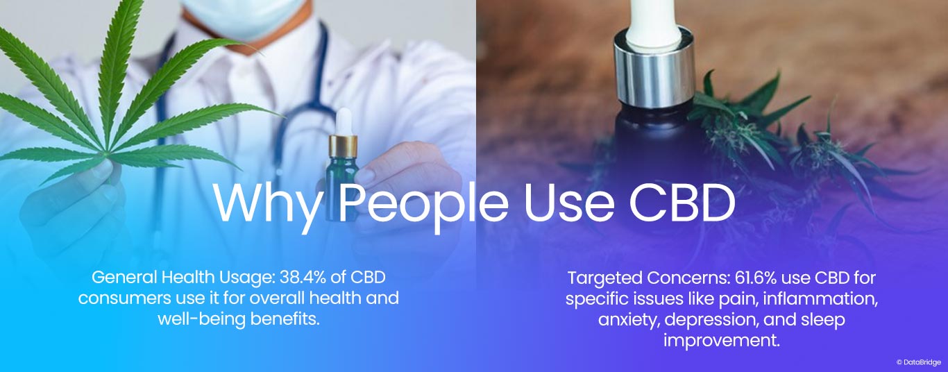 Unlocking Wellness: The Transformative Power of CBD Oil for Health, Healing, and Holistic Well-Being Exploration