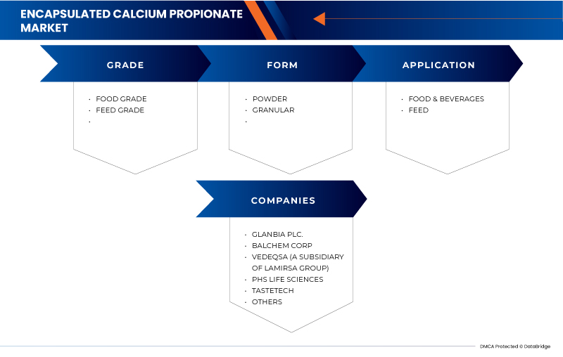 Encapsulated Calcium Propionate Market
