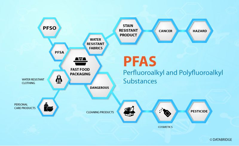 Advancements in PFAS-Free Compostable Products: Meeting International Standards