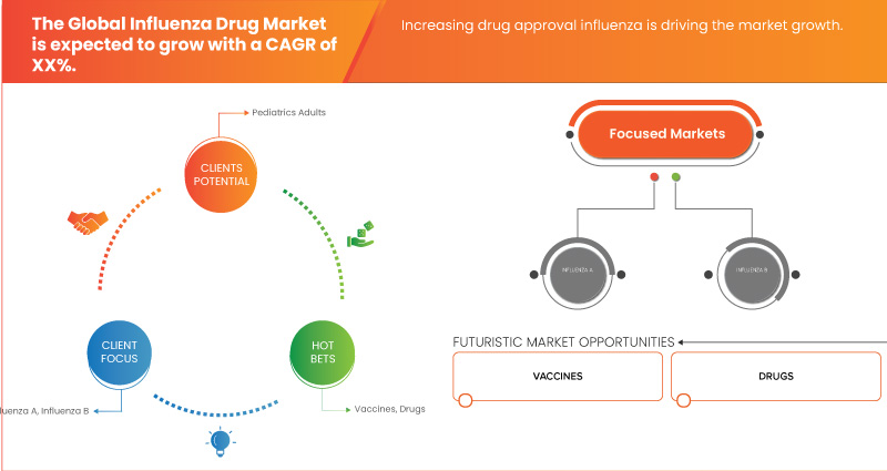 Influenza Drug Market