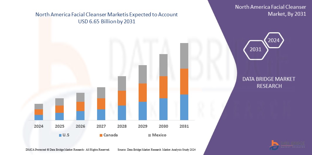 North America Facial Cleanser Market