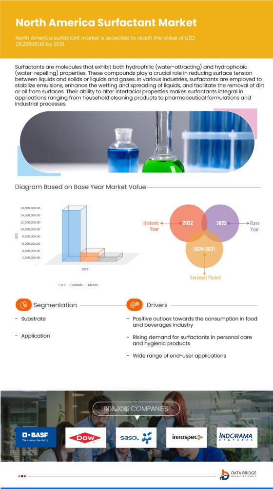 North America Surfactant Market