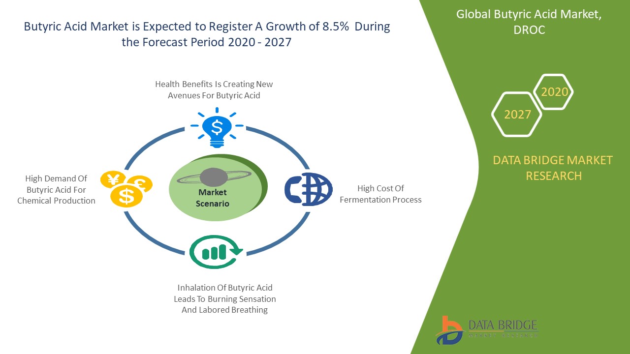 Butyric Acid Market