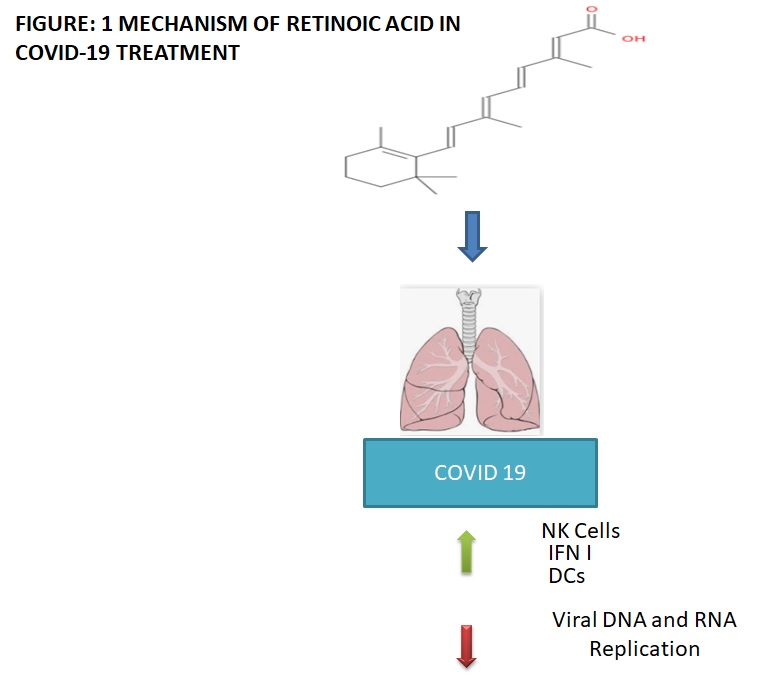 Mechanism Of Retinoic Acid In Covid-19 Treatment