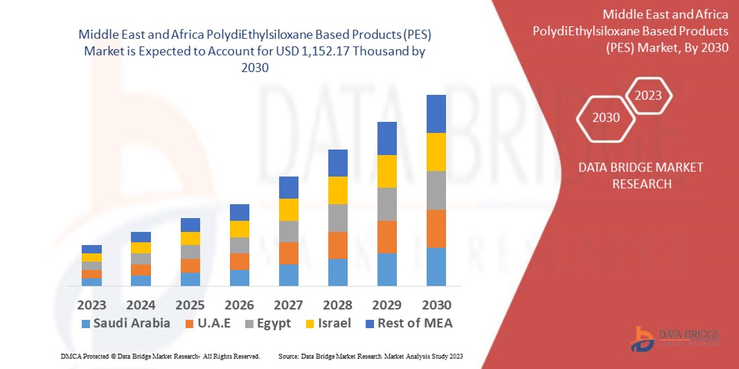 Middle East and Africa PolydiEthylsiloxane Based Products (PES) Market