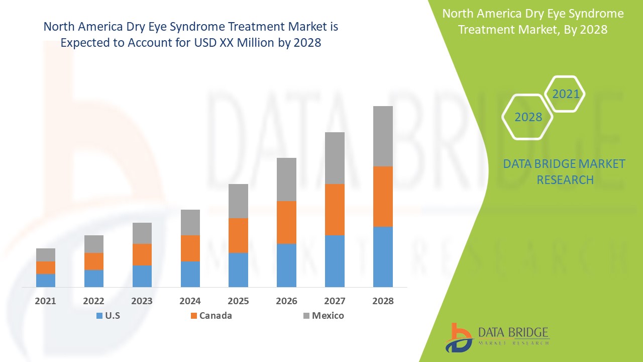 North America Dry Eye Syndrome Treatment Market 