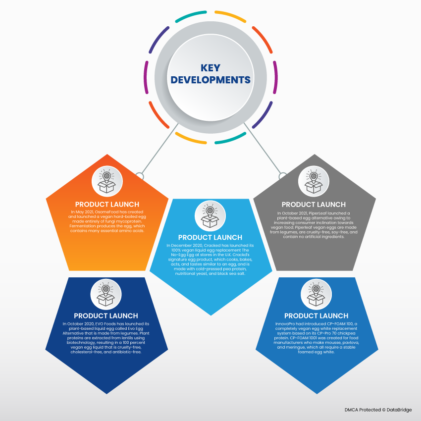 Plant-Based Egg Replacers Market