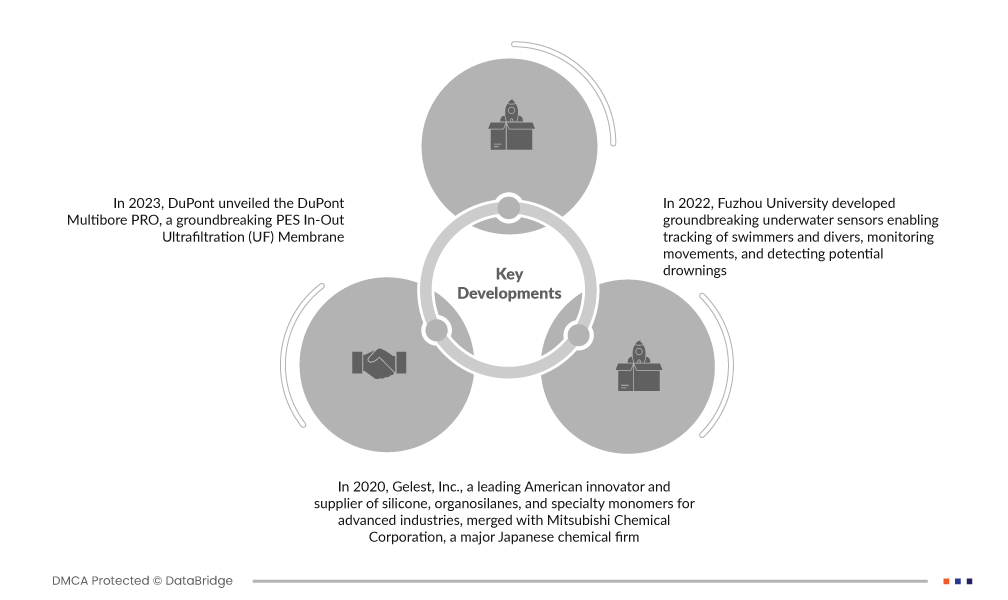 PolydiEthylsiloxane BASED Products (PES) Market