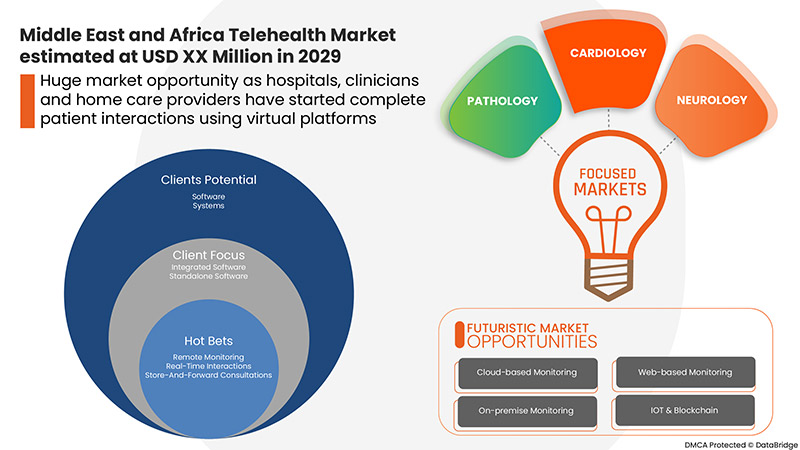 Middle East and Africa Telehealth Market