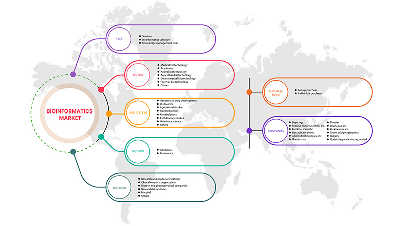 Bioinformatics Market