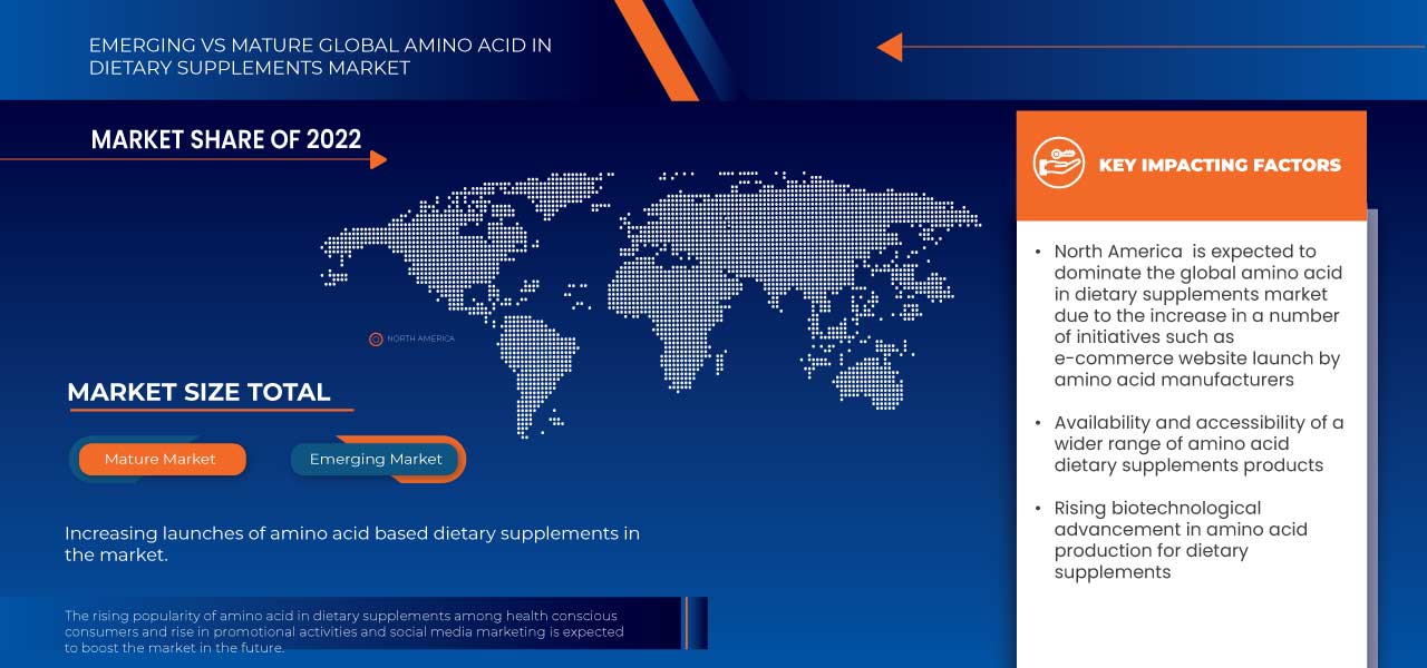Amino Acid in Dietary Supplements Market